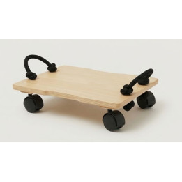 Scooter Board